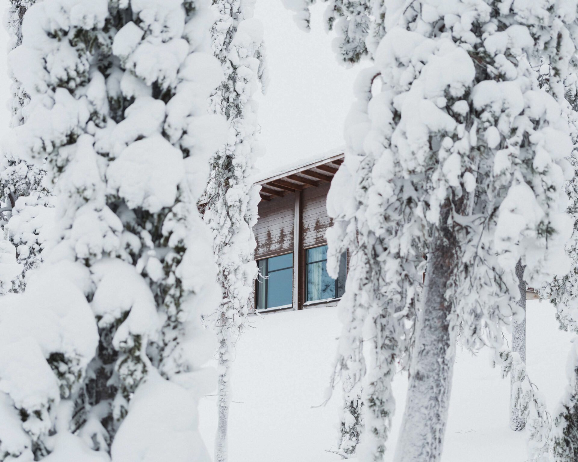 A window of the lodge at Octola framed by snow-heavy trees