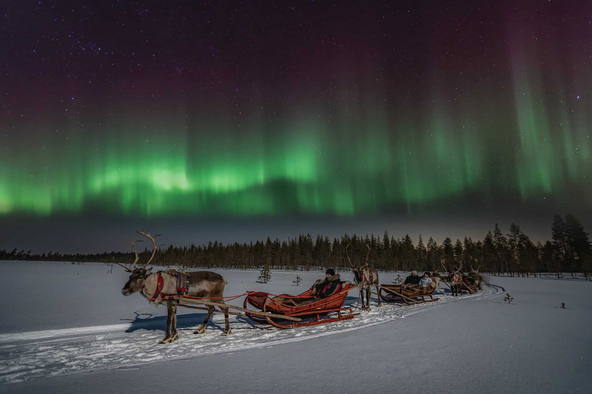 Reindeer sleighs on a frozen lake under the northern lights